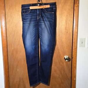 AMERICAN EAGLE Skinny Jeans Size 10